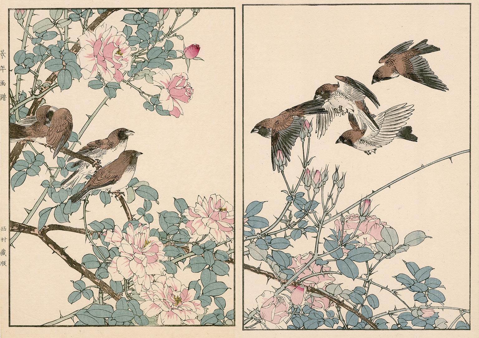 Imao Keinen Figurative Print - Cabbage Rose and Spotted Munia— 19th century woodblock print