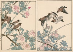 Cabbage Rose and Spotted Munia— 19th century woodblock print