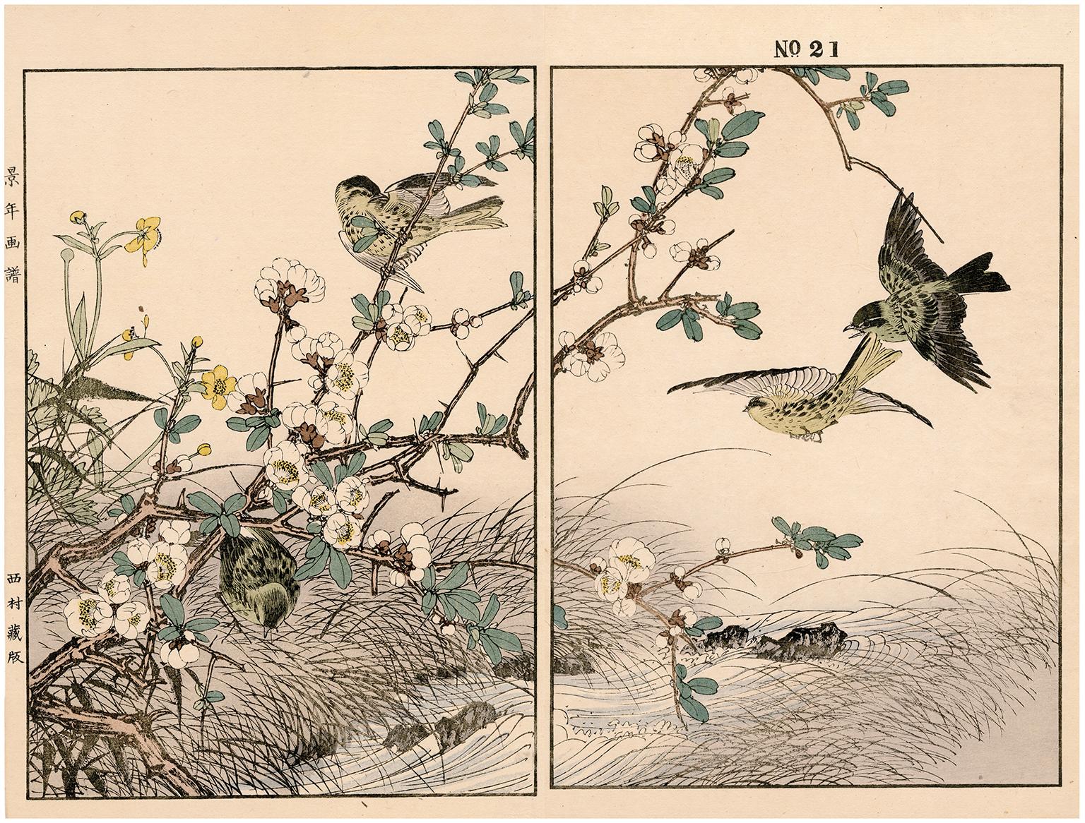 Flowering Quince and Cantonese Buttercup, Siskin — 19th century woodblock print - Print by Imao Keinen