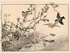 Membrillo en flor y ranúnculo cantonés, Siskin - grabado xilográfico del siglo XIX