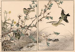 Flowering Quince and Cantonese Buttercup, Siskin — 19th century woodblock print