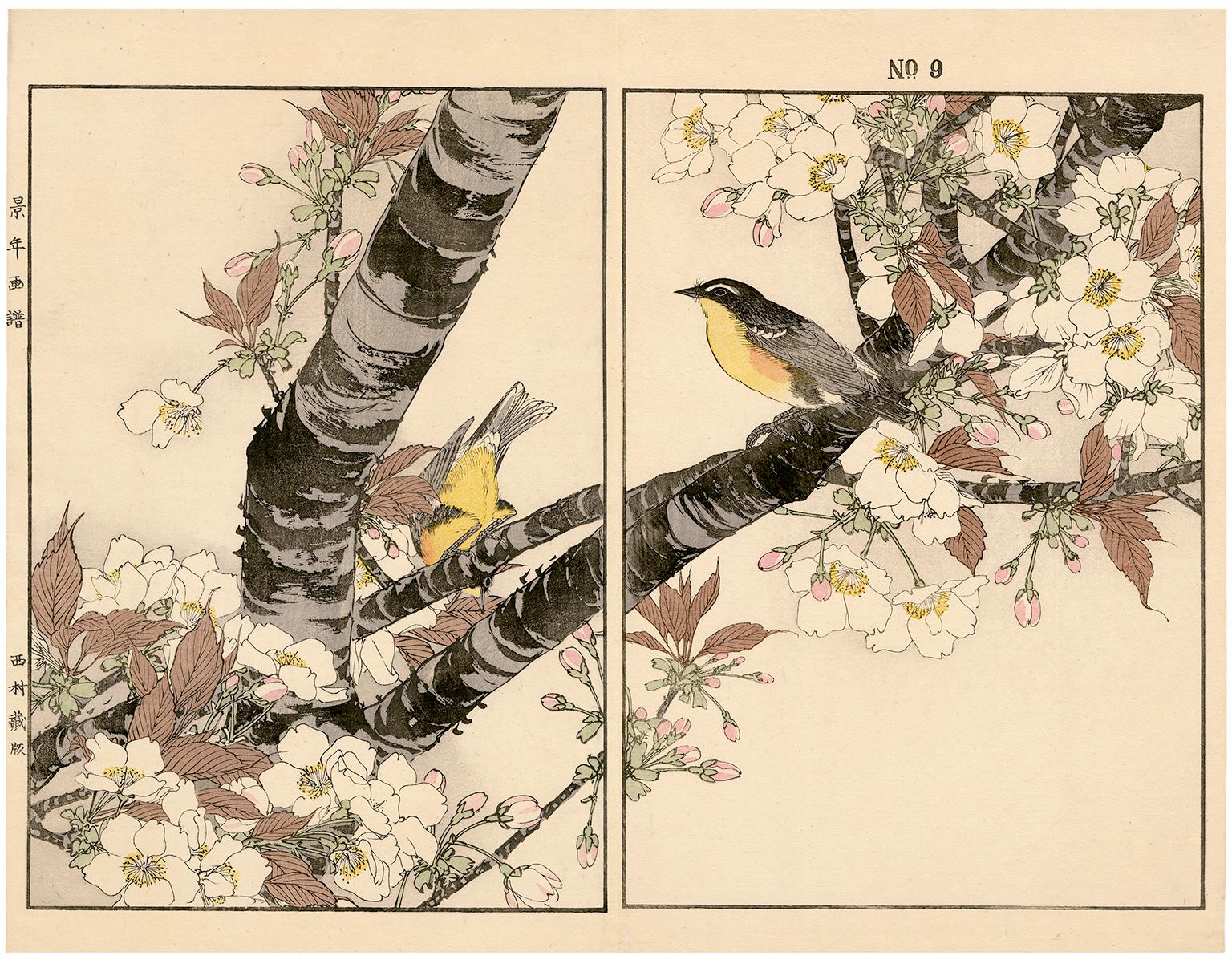 Japanese Flowering Cherry and Mugimaki Flycatcher — 19th century woodblock print - Print by Imao Keinen