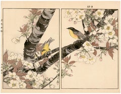Japanische Blütenkirsche und Mugimaki Flycatcher - Holzschnitt aus dem 19.