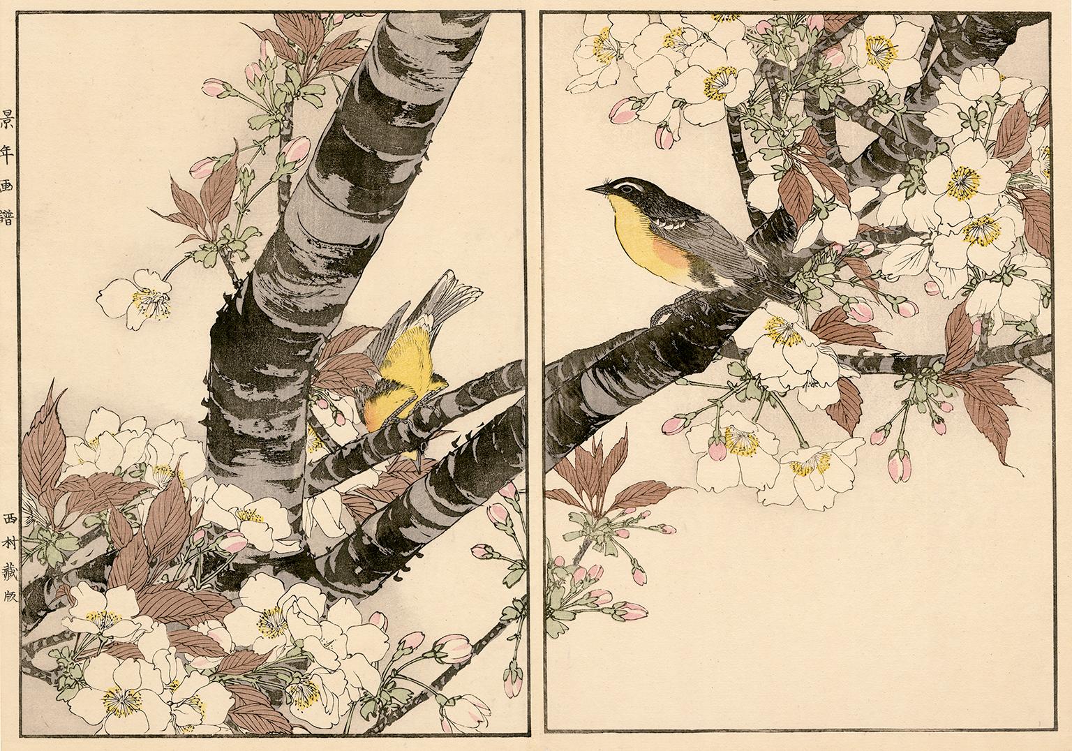 Figurative Print Imao Keinen - Cerisier à fleurs japonais et moucheron Mugimaki - Gravure sur bois du 19e siècle