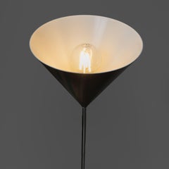Funnel Lamp, Luigi Caccia Dominioni, Azucena, 1969, set of 2
