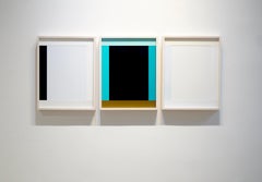 Anima Mundi 2010, Acrylic on constructed plastic sheets, Minimalism, Abstract Art