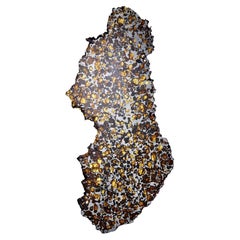 Imilac Pallasite (meteorite) Atacama Desert of Northern Chile