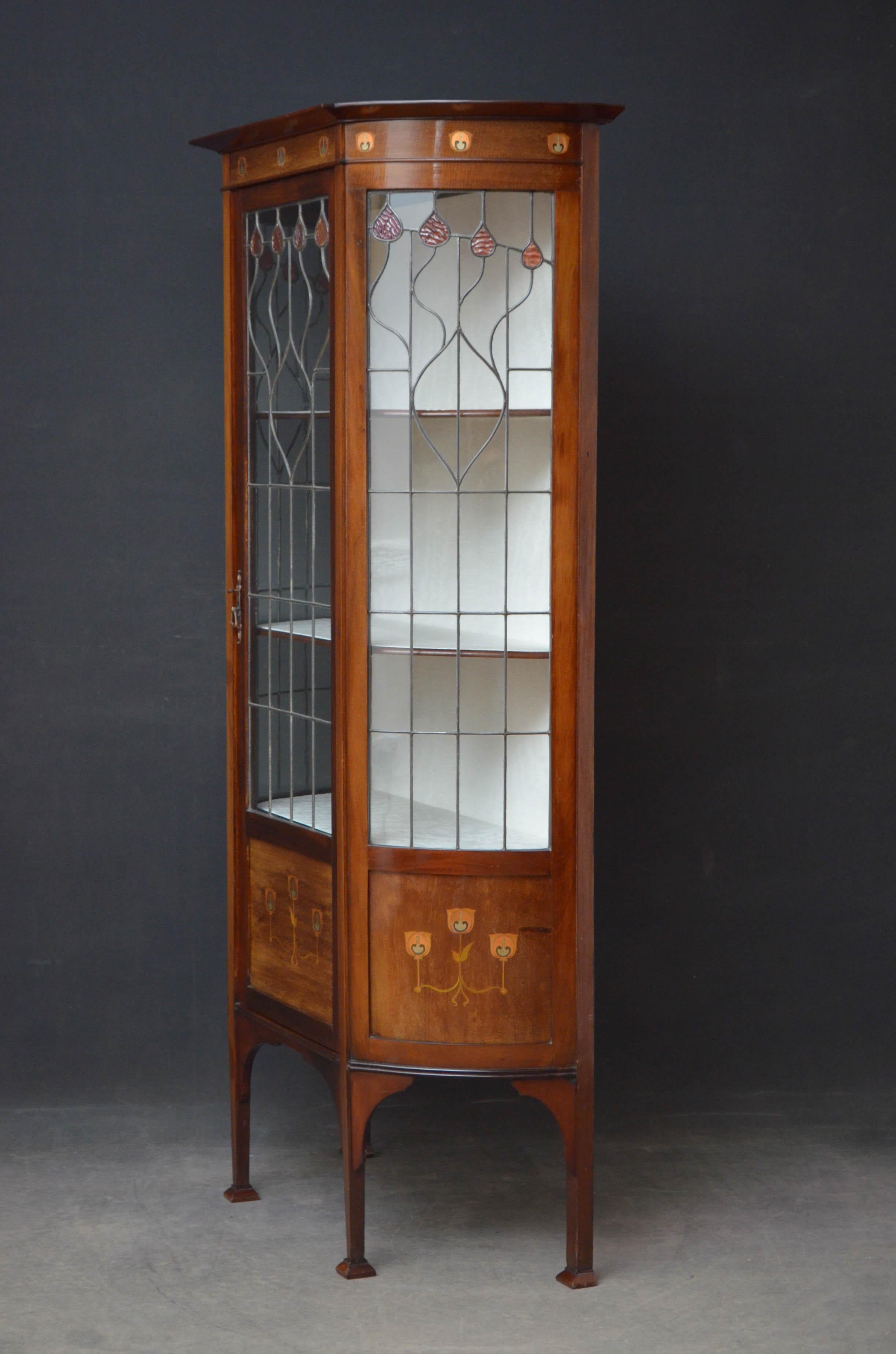 Immaculate Art Nouveau Display Cabinet 6