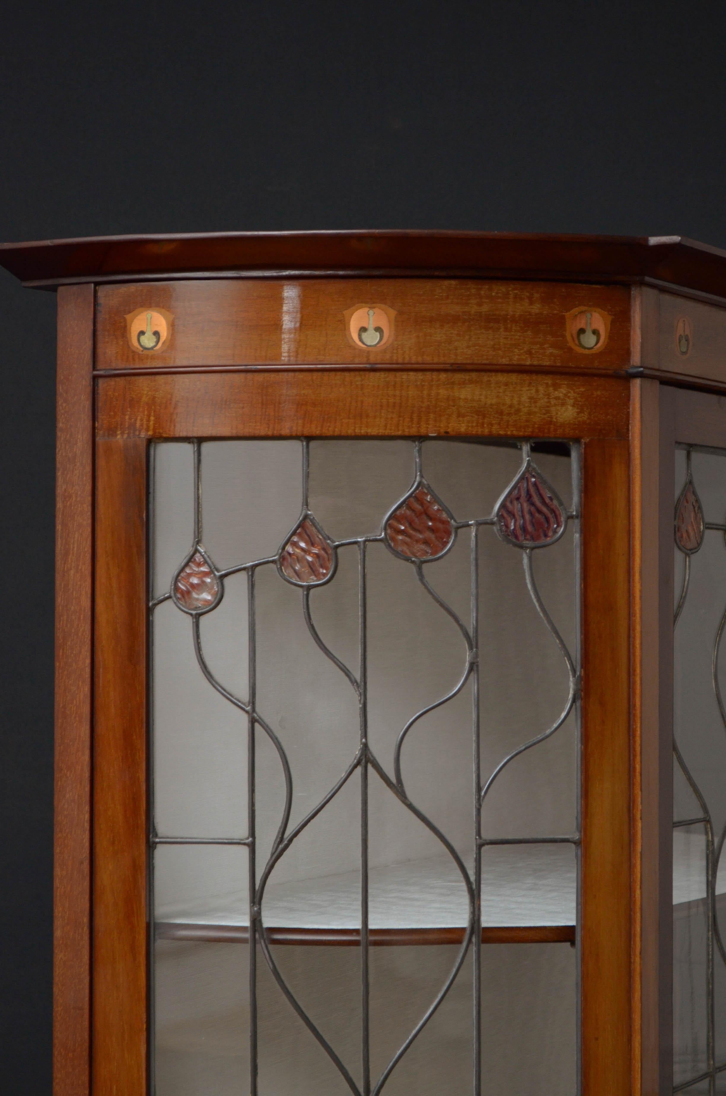 Immaculate Art Nouveau Display Cabinet 2