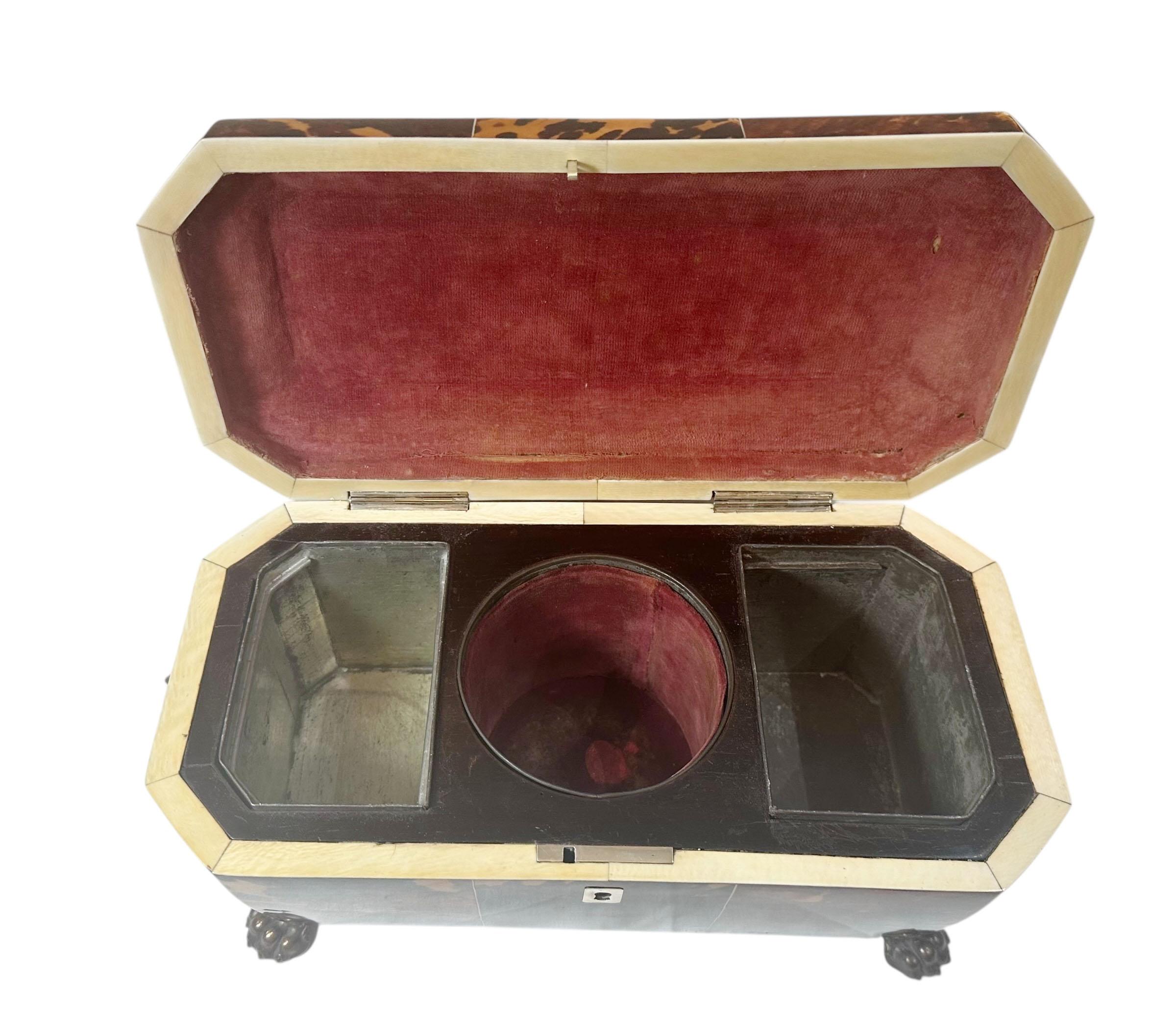 Immaculate Tortoiseshell Tea Caddy For Sale 9