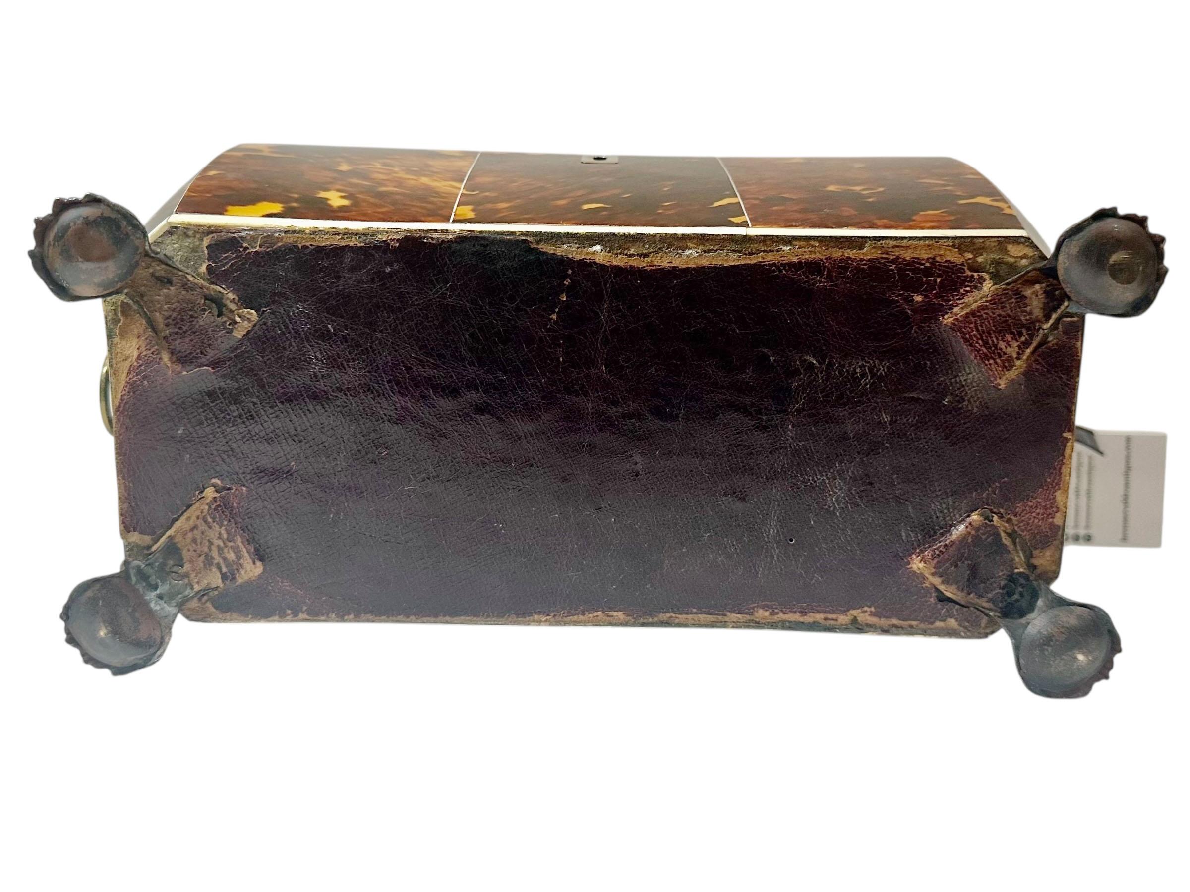 Immaculate Tortoiseshell Tea Caddy For Sale 11