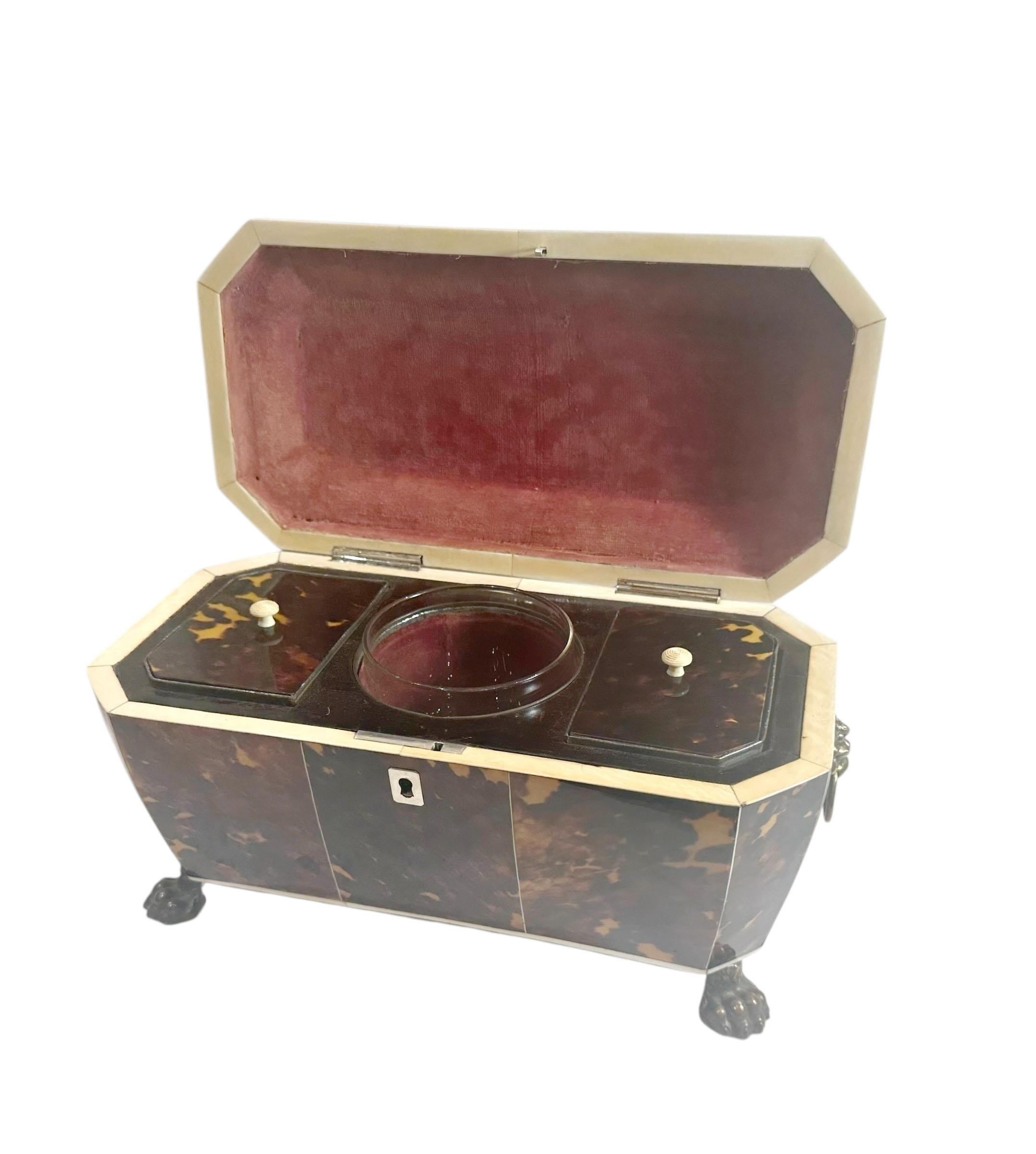 Immaculate Tortoiseshell Tea Caddy For Sale 1
