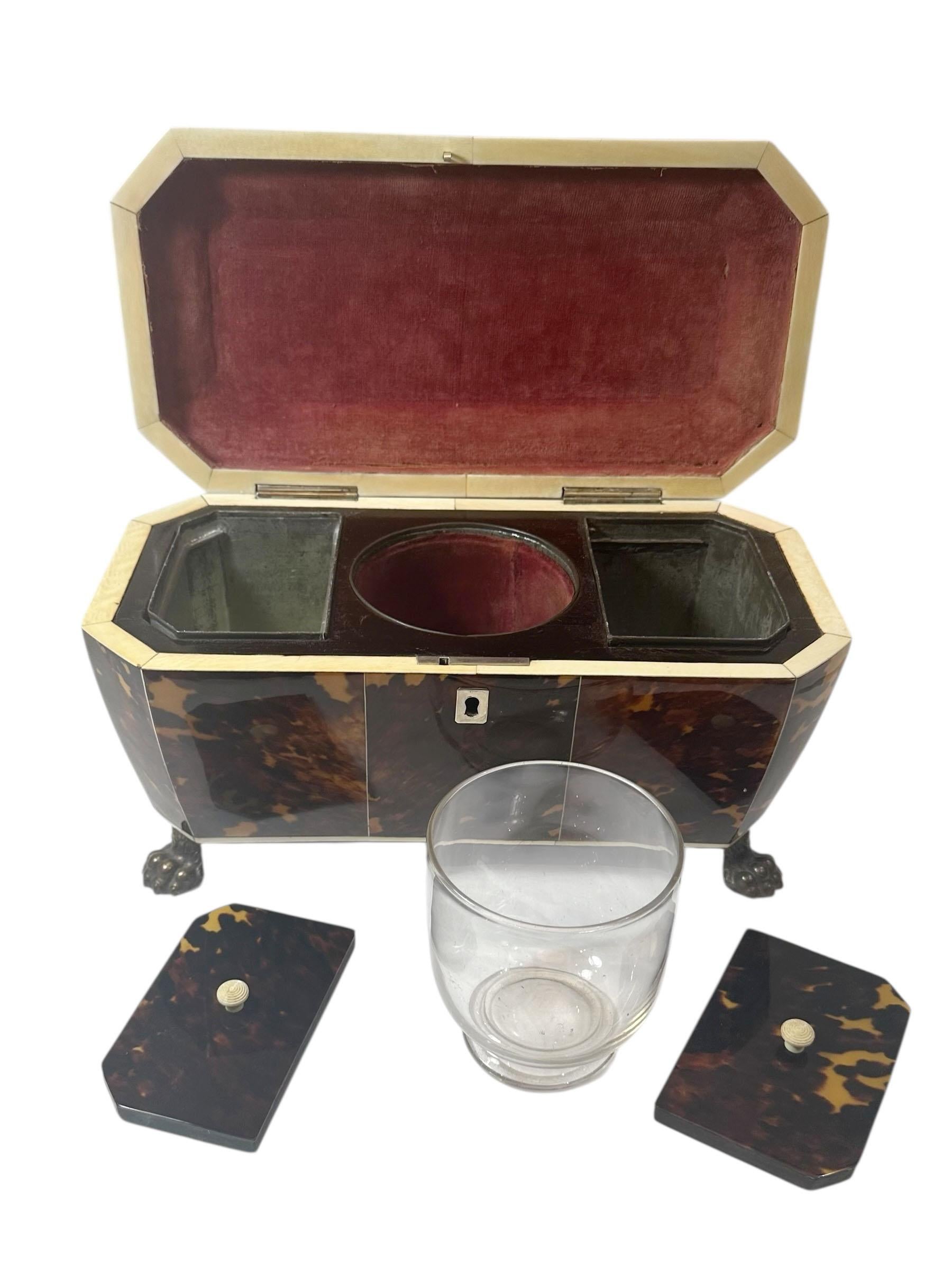 Immaculate Tortoiseshell Tea Caddy For Sale 2