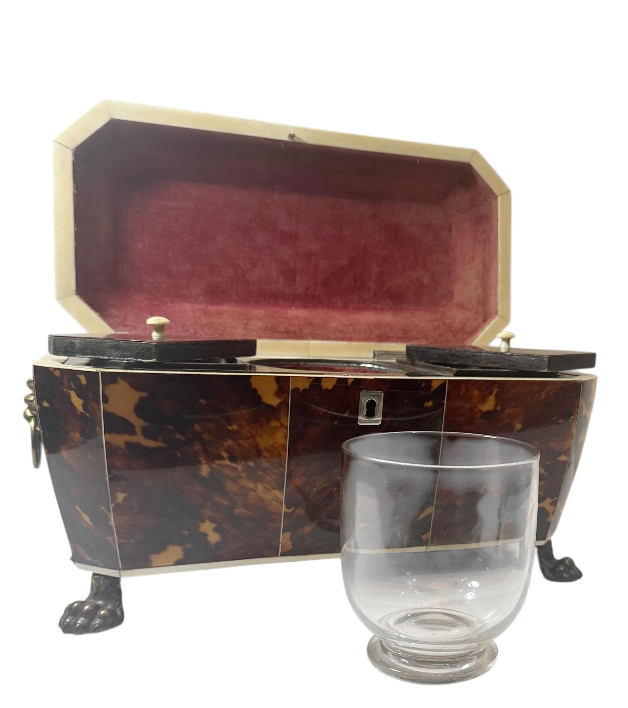 Immaculate Tortoiseshell Tea Caddy For Sale 3