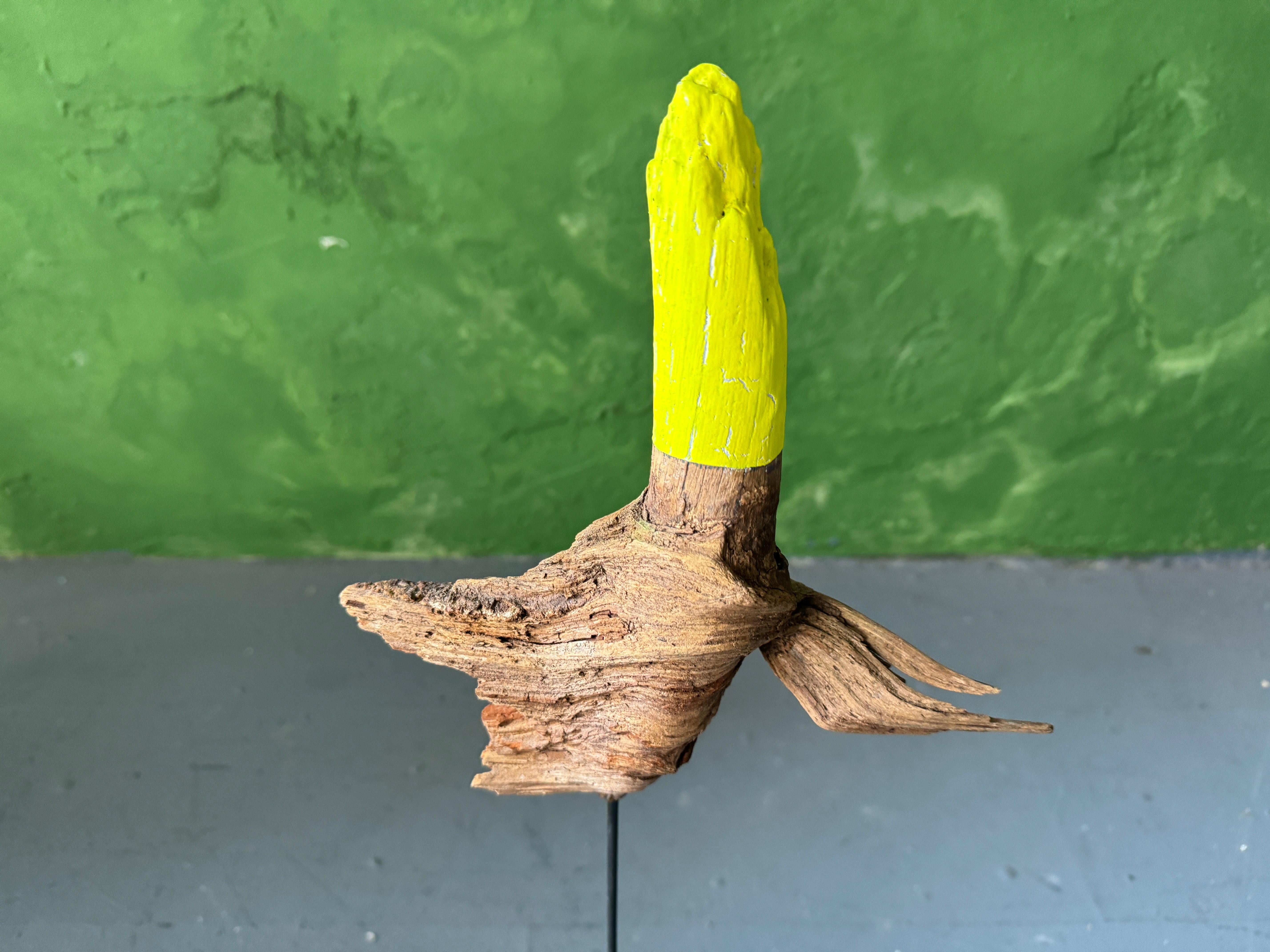 XXI secolo e contemporaneo Scultura immatura di Markus Friedrich Staab in vendita