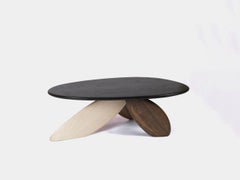 Mesa de cenizas de inmersión