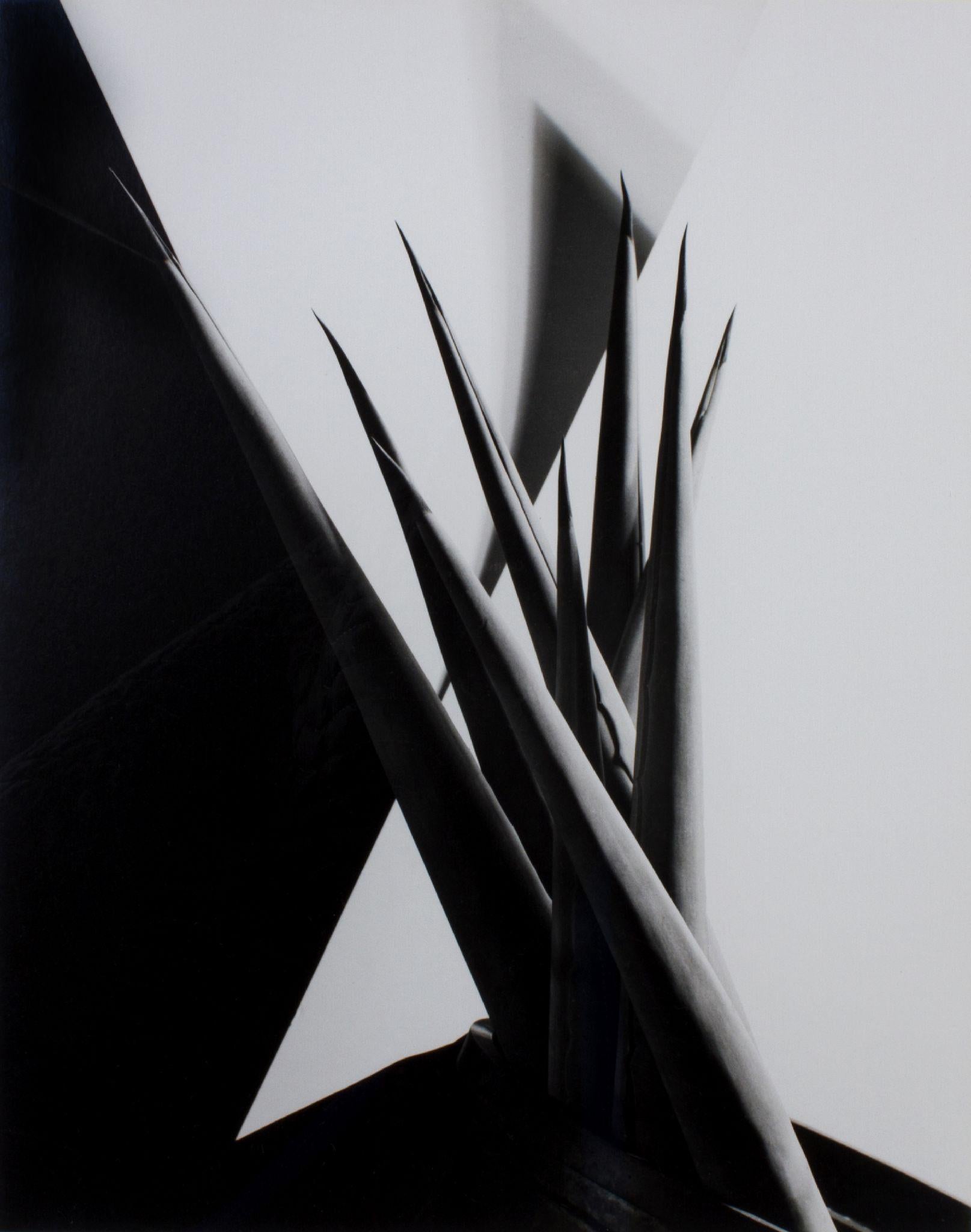 Where is Imogen Cunningham’s work?
