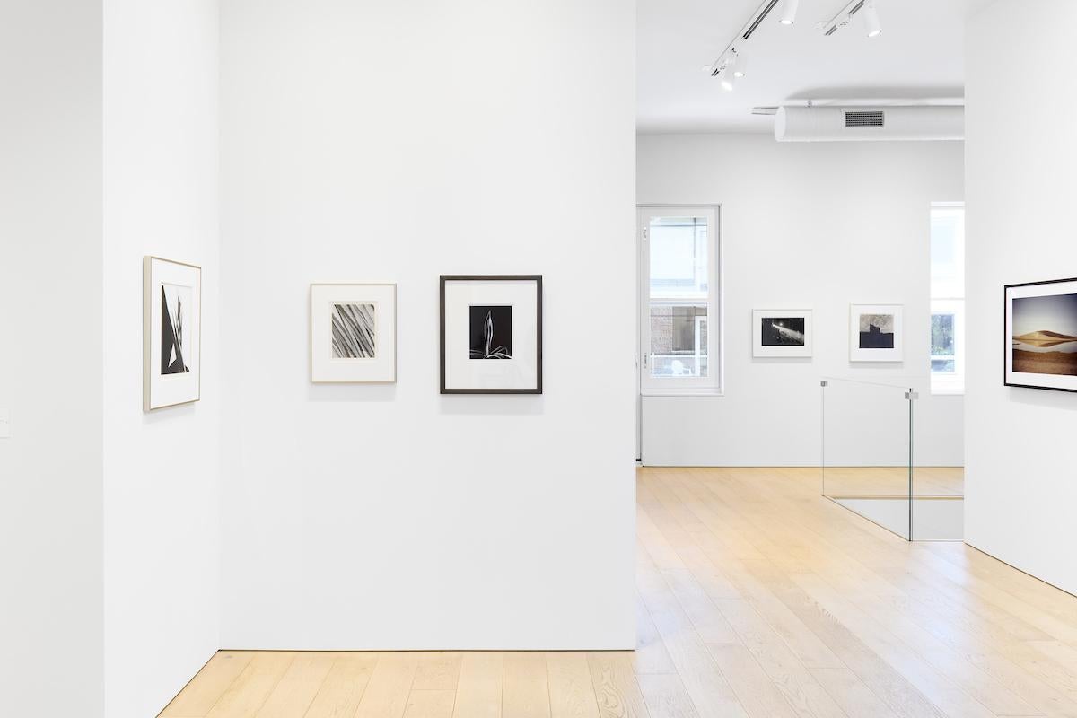 Agave Design/One 2 – Photograph von Imogen Cunningham