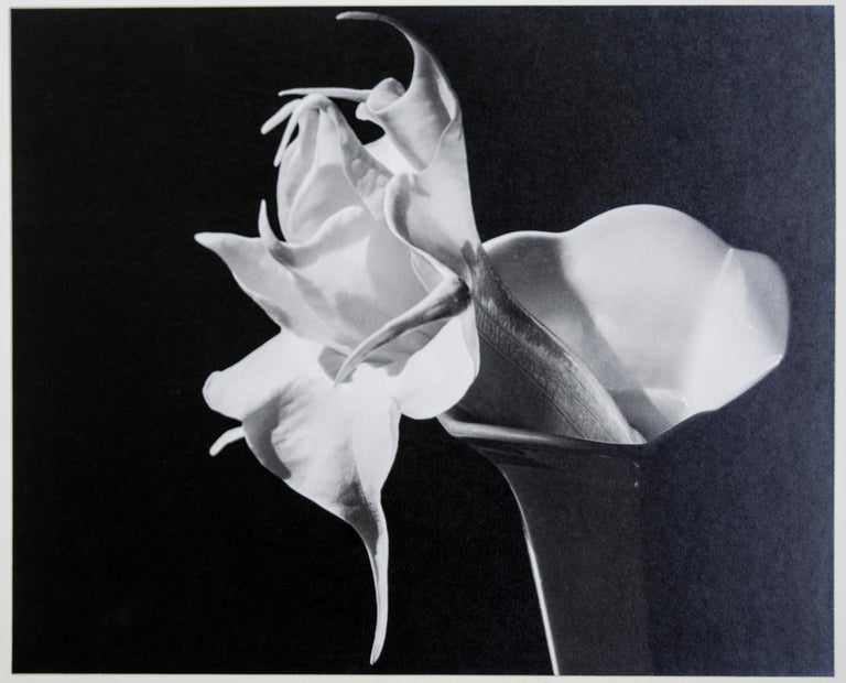 Image result for Imogen Cunningham
