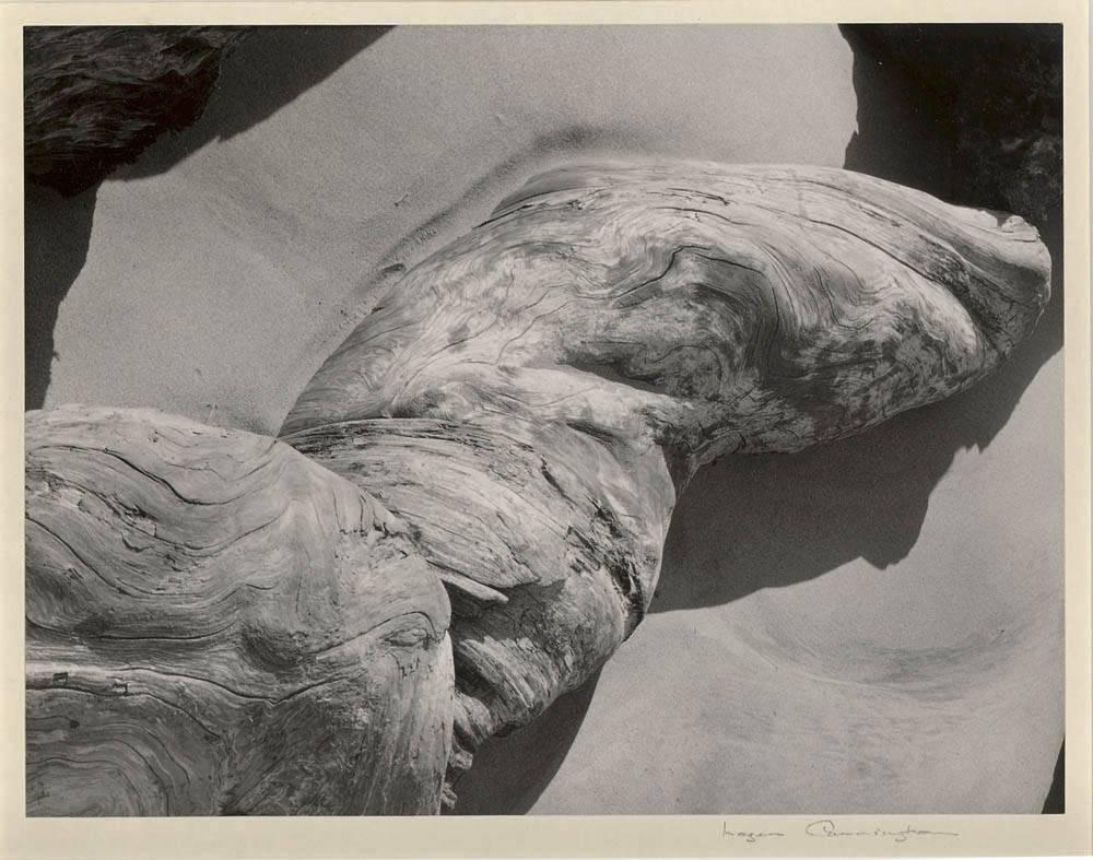 Imogen Cunningham Nude For Sale At 1stDibs Imogen Cunningham Nude For Sale At 1stDibs