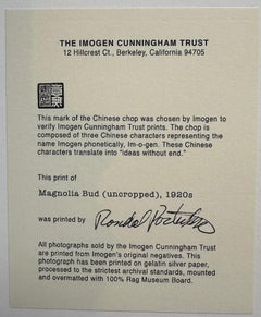 Brote de magnolia (sin recortar)