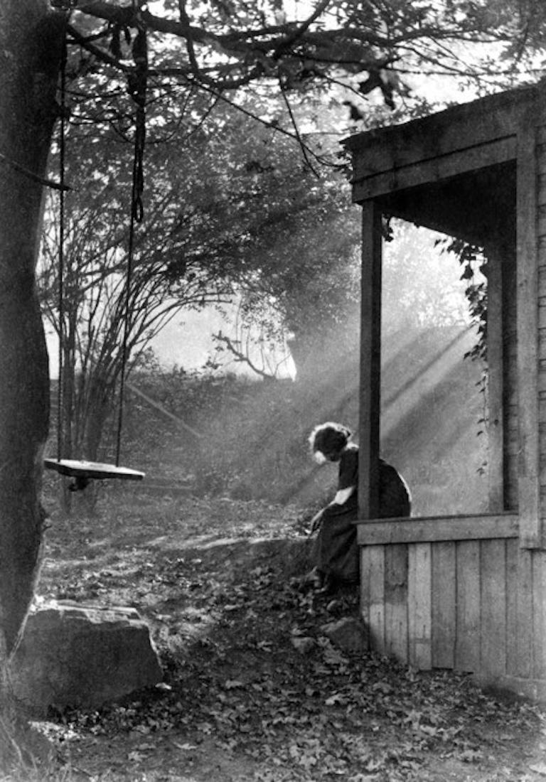 Morning Mist
Sunshine