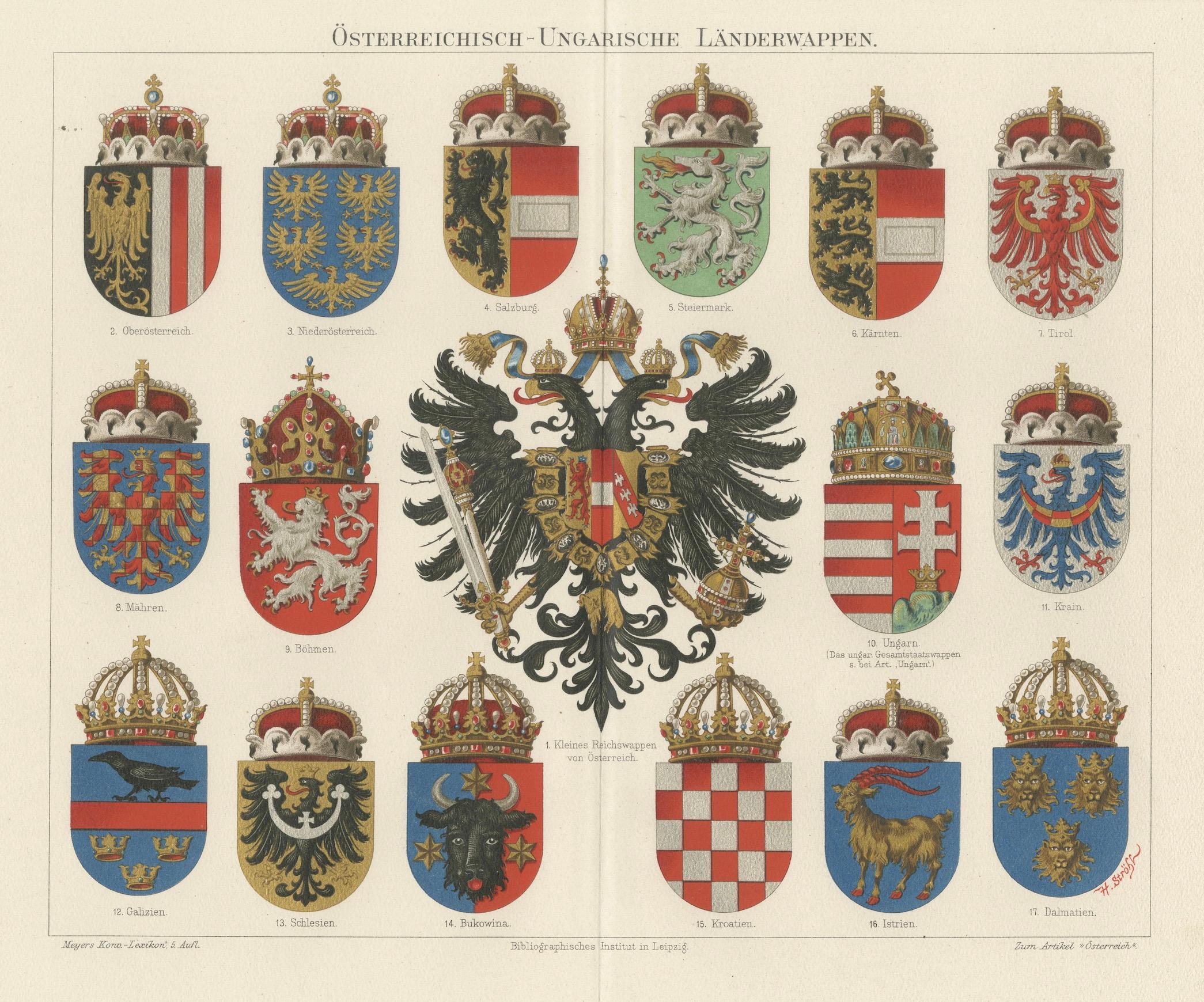 Titolo: Österreichisch-Ungarische Länderwappen - Stemmi imperiali dell'Austria-Ungheria, 1880 ca.

Questa cromolitografia finemente dettagliata, intitolata Österreichisch-Ungarische Länderwappen (Stemmi delle Terre austro-ungariche), fu pubblicata