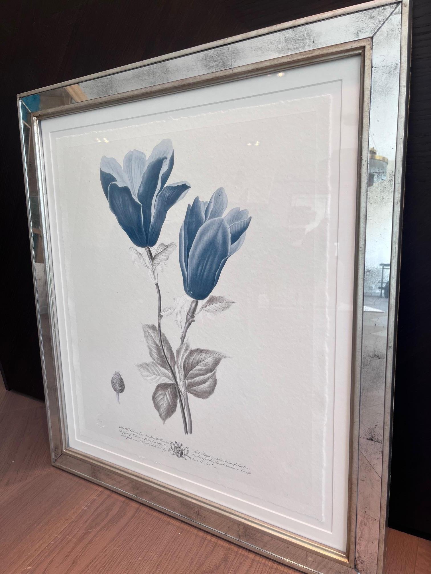 Imperial Flowers - Tulip & Rose
