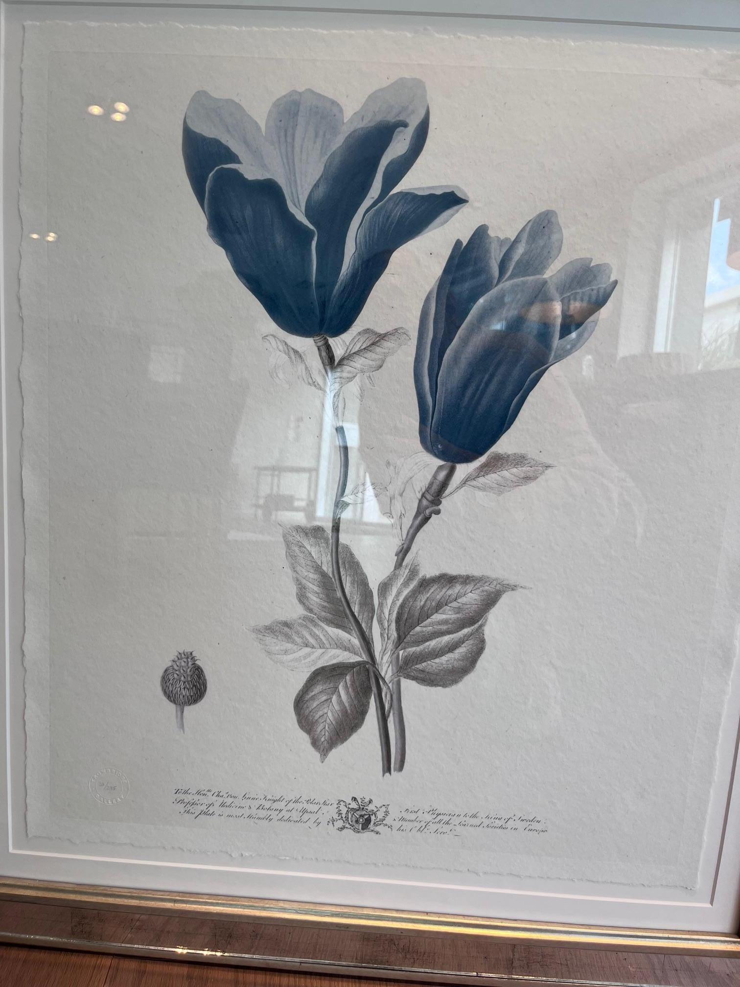 Imperial Flowers - Tulip & Rose