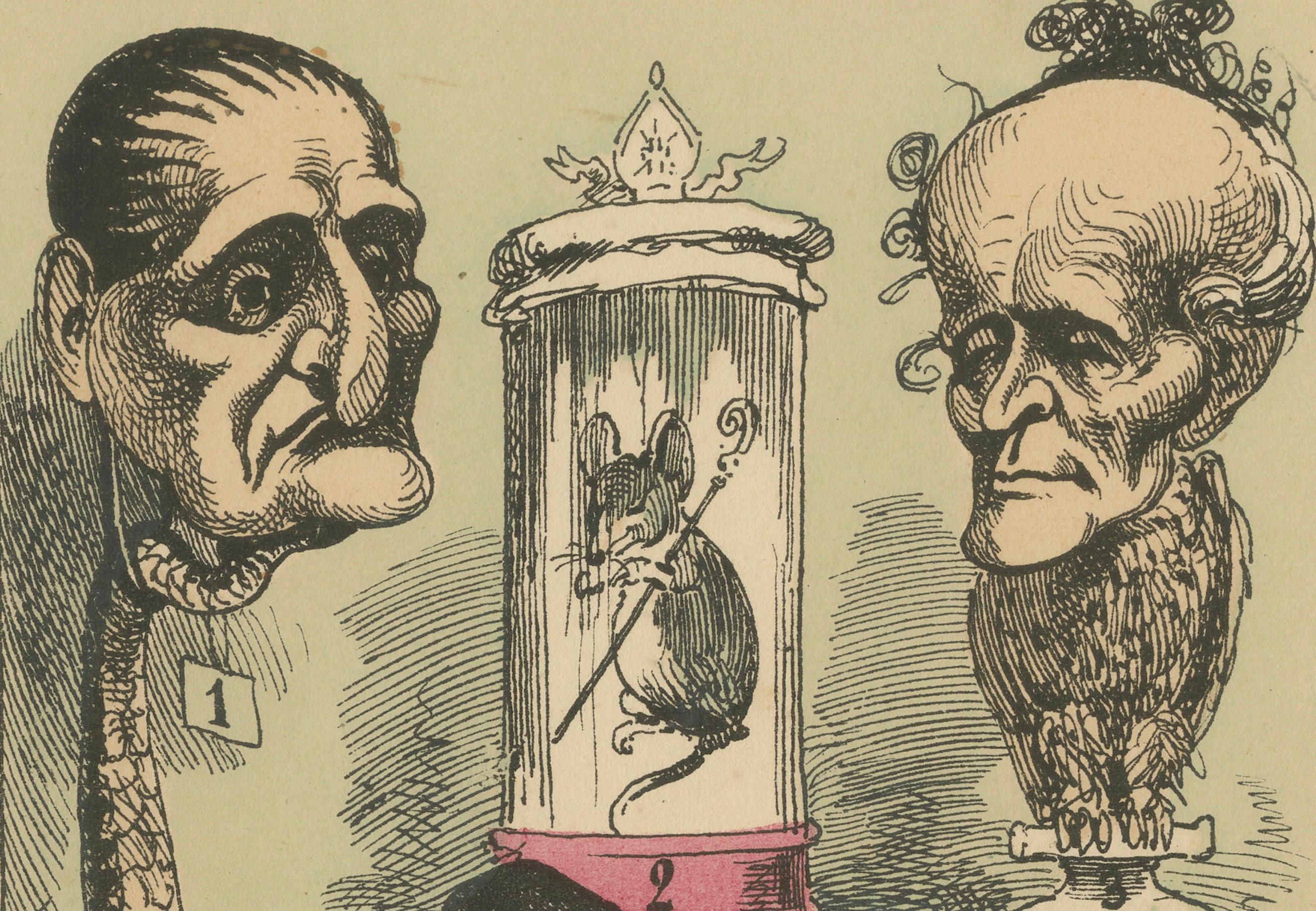 Fine XIX secolo Il serraglio imperiale: Una Collection Satirica del Museo Imbalsamato - 1870 in vendita