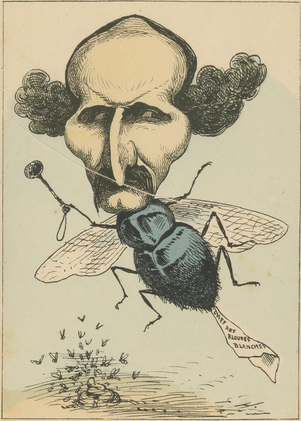 Menagerie Imperiali: Joseph Marie Piétri - La mosca (inganno - spionaggio), 1870 In condizioni buone in vendita a Langweer, NL