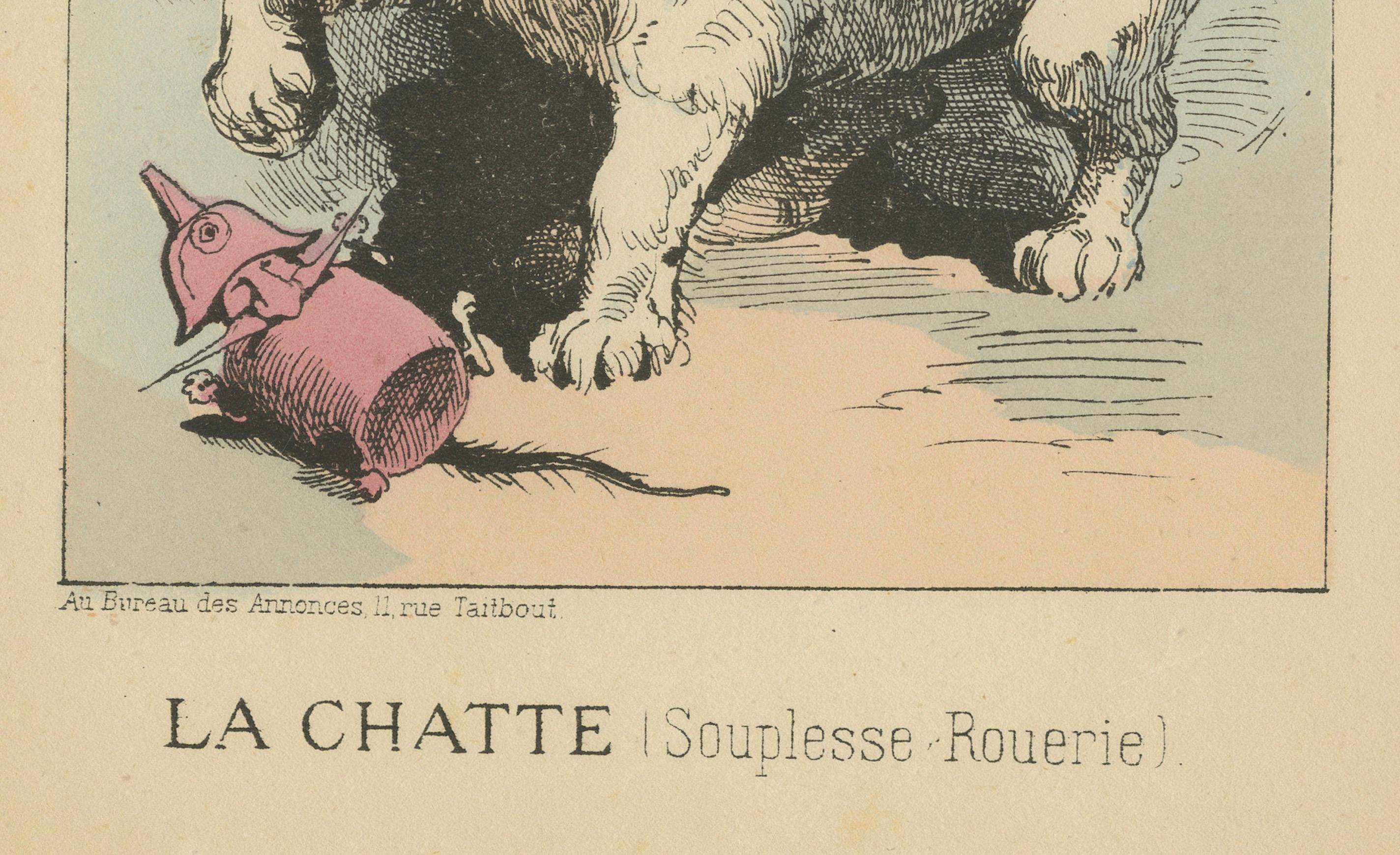 Imperial Menagerie: Marguerite Bélenger - The Cat (Flexibility - Cunning), 1870 In Good Condition For Sale In Langweer, NL