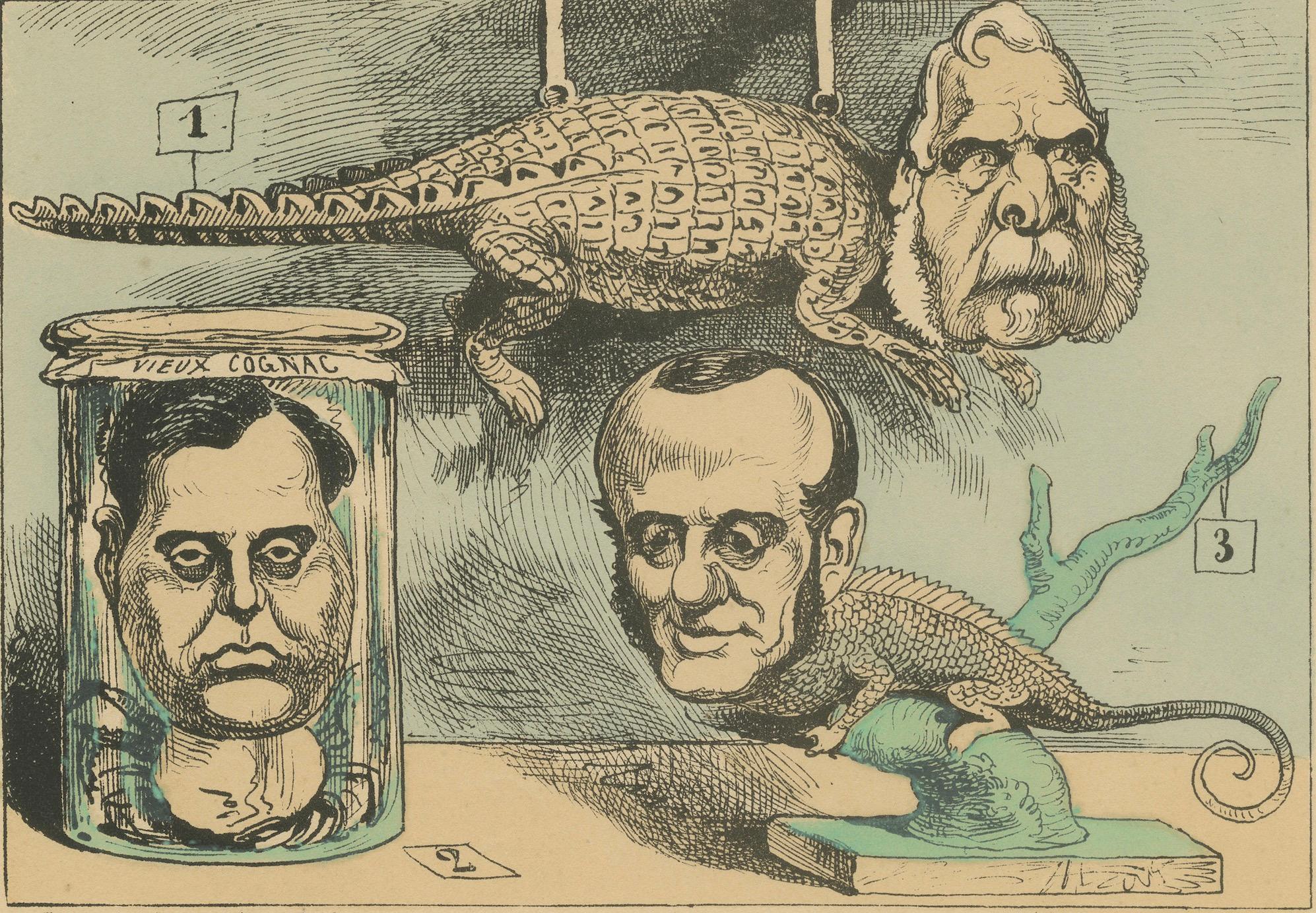 Imperial Menagerie: The Stuffed Museum – Magnan, Walewski und Billault, 1870 (Spätes 19. Jahrhundert) im Angebot