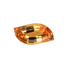 Imperial Topaz Ring Necklace Gem 12.93 Carat Loose Gemstone