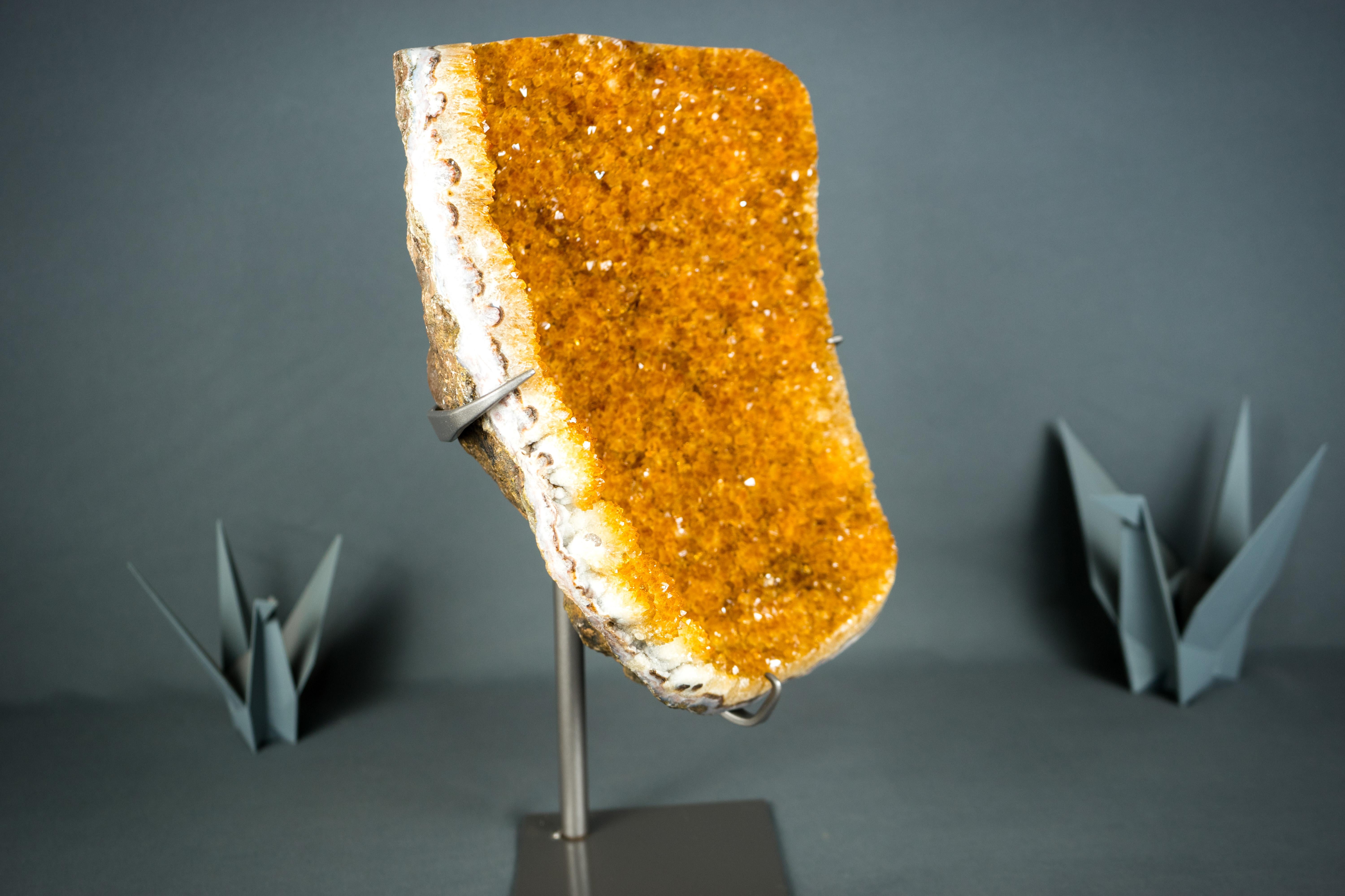 Large, Aesthetical Citrine Cluster with Orange Galaxy Druzy

▫️ Description ▫️

A tall Orange Citrine Cluster with beautiful natural characteristics, this citrine specimen will certainly be a statement piece in your collection, or a natural,