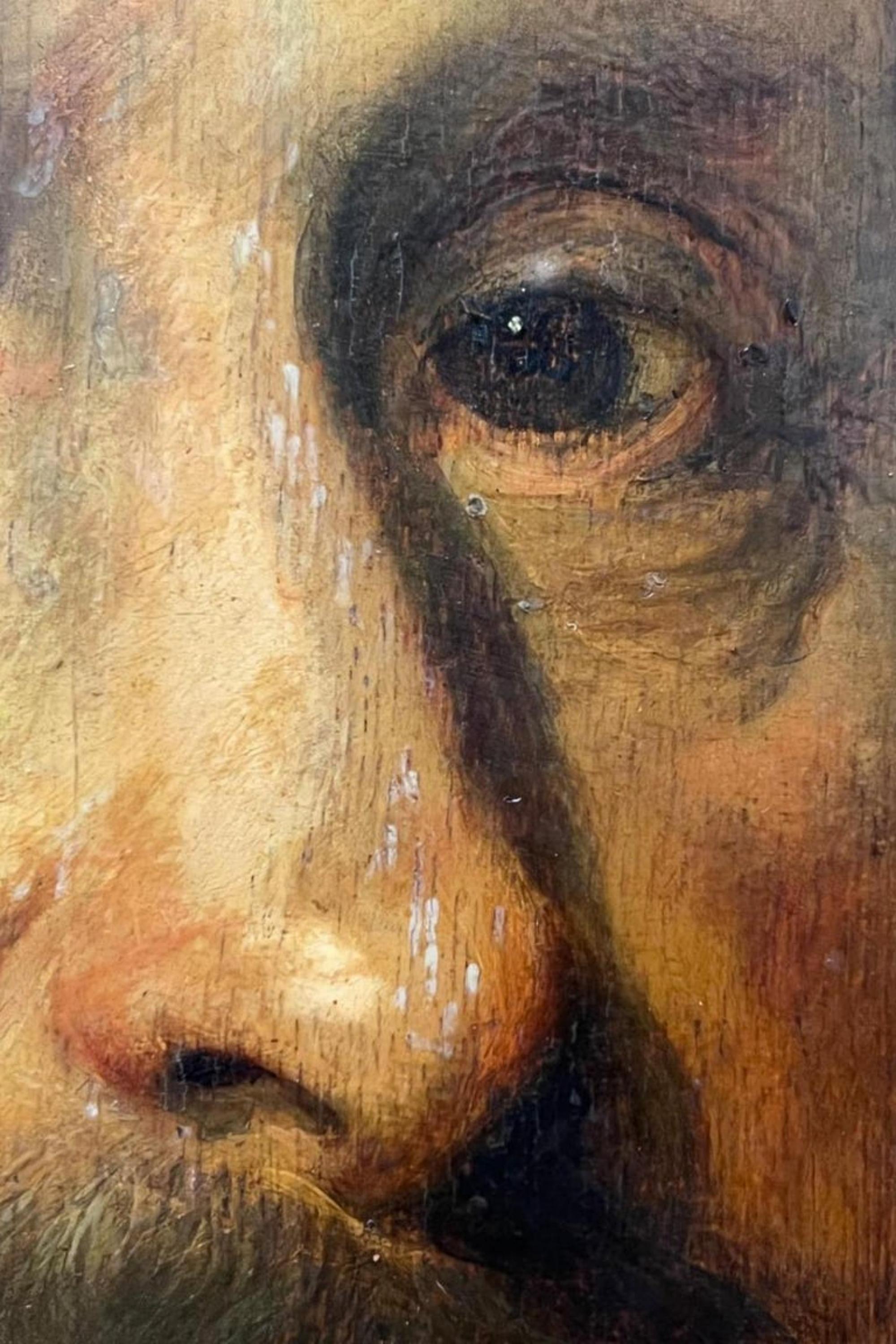 Oiled Important 17th Century Dutch School, 