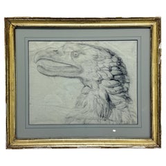 Important 18th Century, American School Bald Eagle Drawing Attr William Bartram