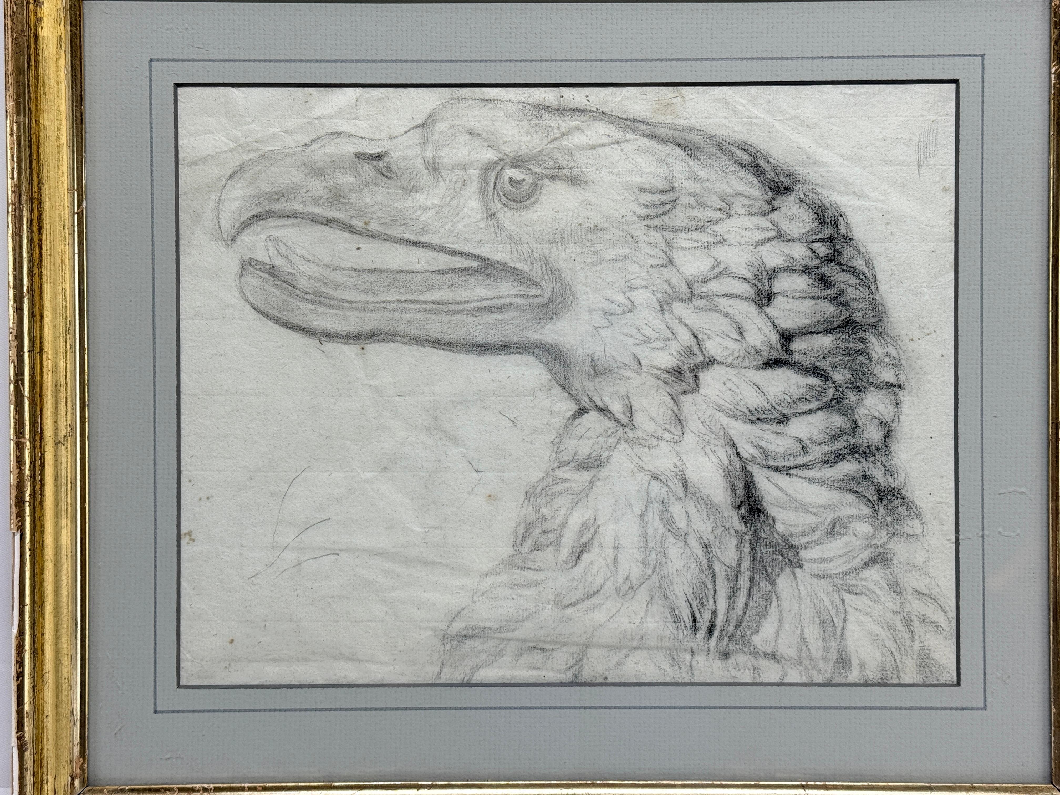 Coloniale americano Importante disegno di aquila calva di scuola americana del XVIII secolo, Attr William Bartram in vendita