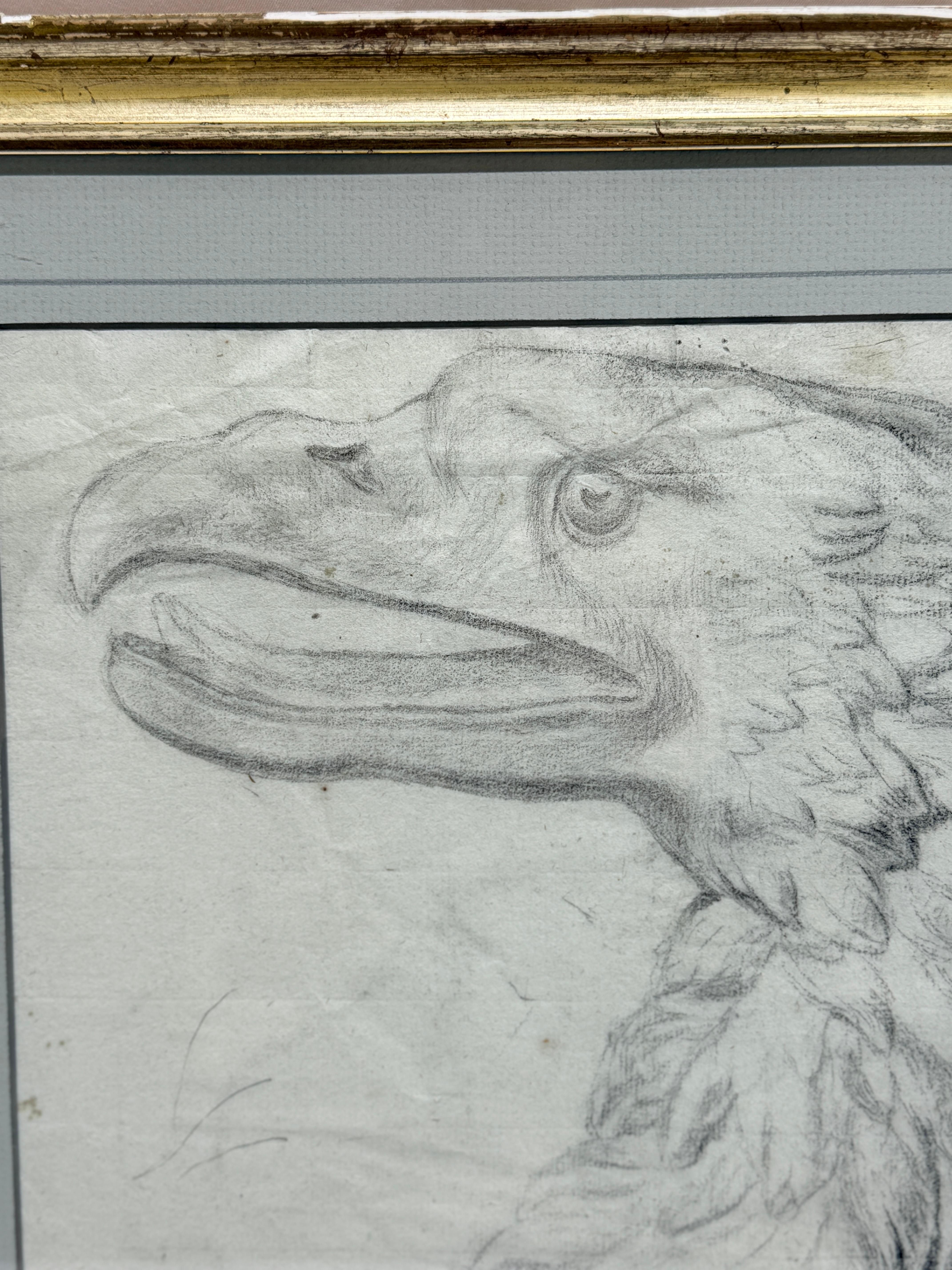 Americano Importante disegno di aquila calva di scuola americana del XVIII secolo, Attr William Bartram in vendita