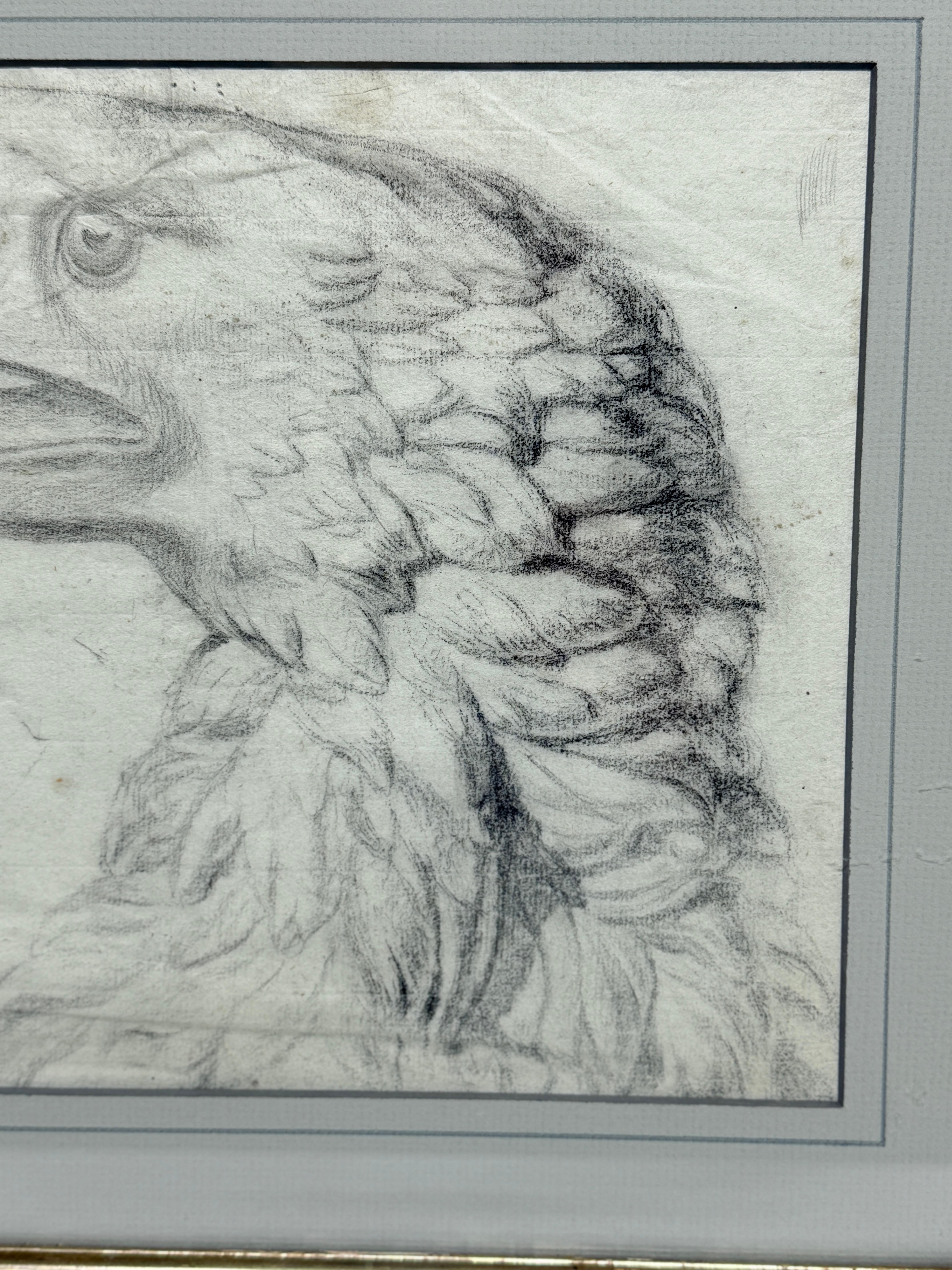 Importante disegno di aquila calva di scuola americana del XVIII secolo, Attr William Bartram In condizioni buone in vendita a Atlanta, GA
