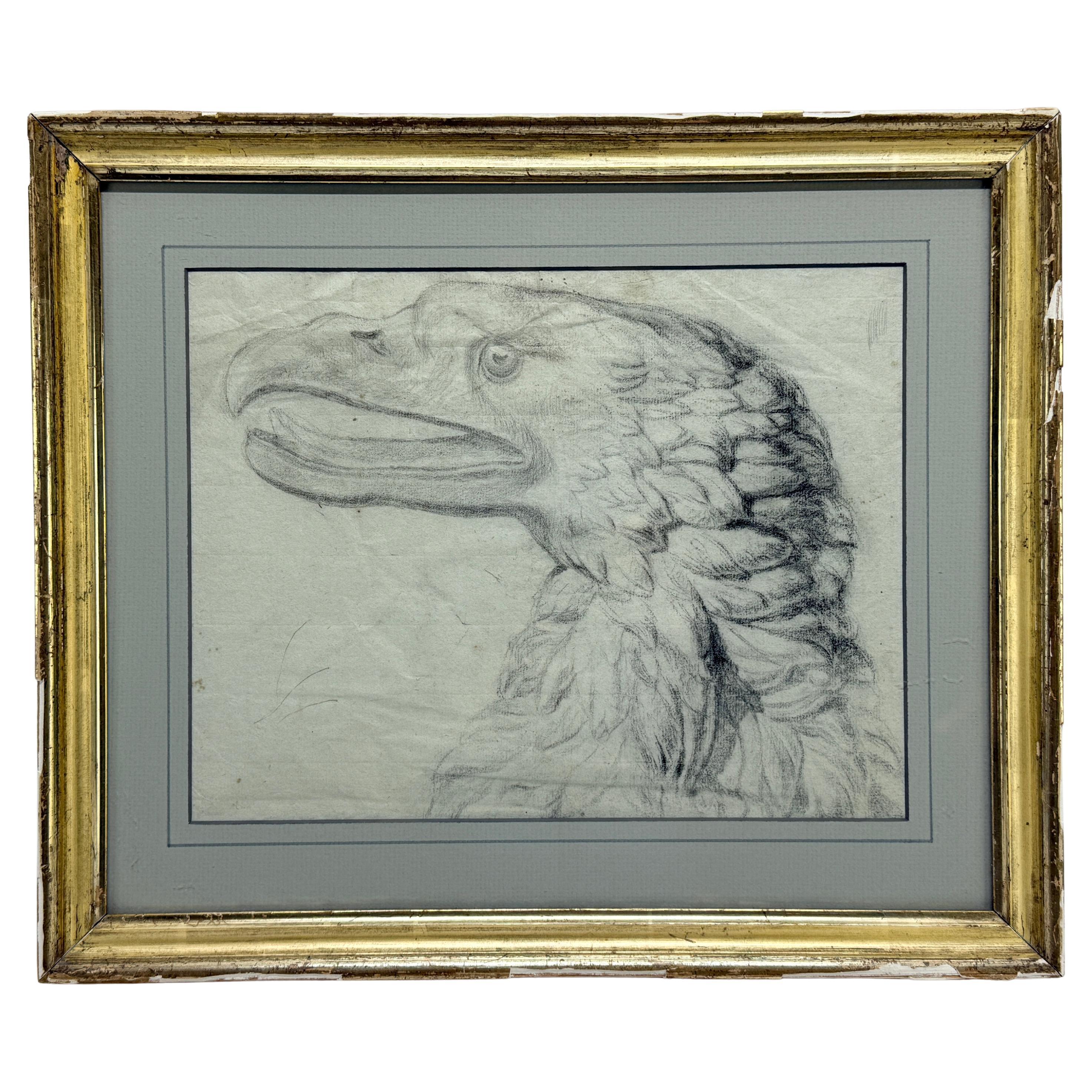 Importante disegno di aquila calva di scuola americana del XVIII secolo, Attr William Bartram in vendita