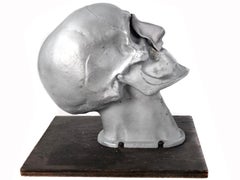 Important 1920s Medical Artist Model