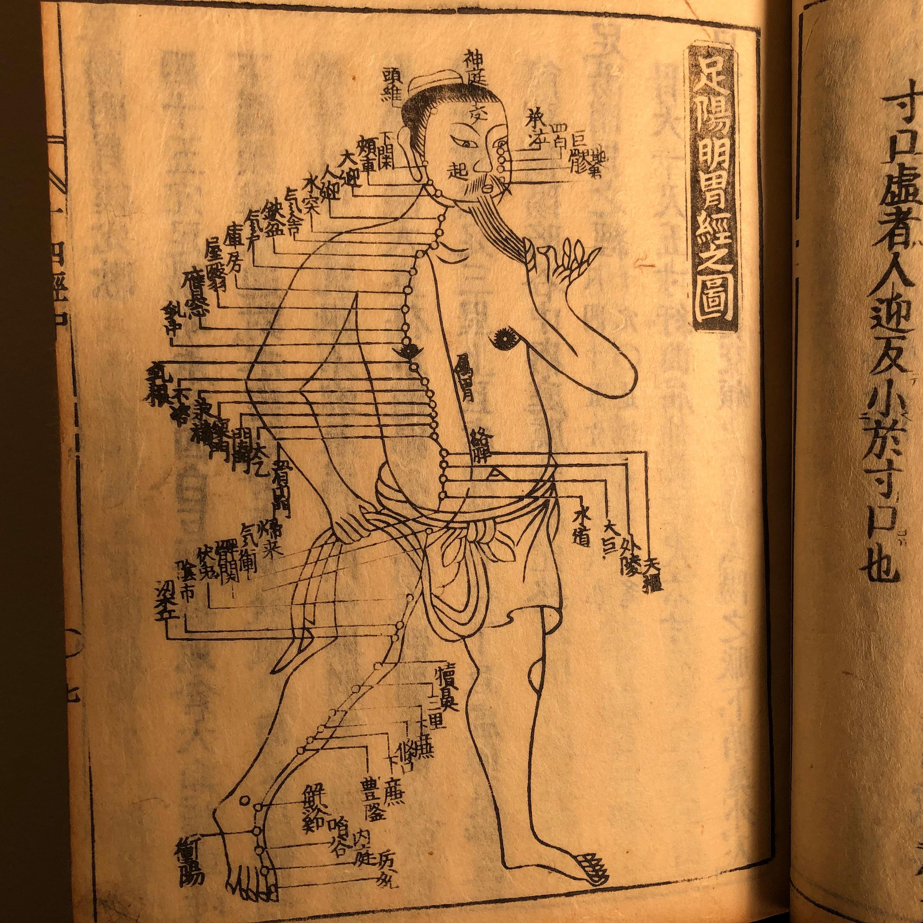 Hand-Crafted Important Acupuncture Japanese Antique Woodblock Guide Book, 19th Century Prints