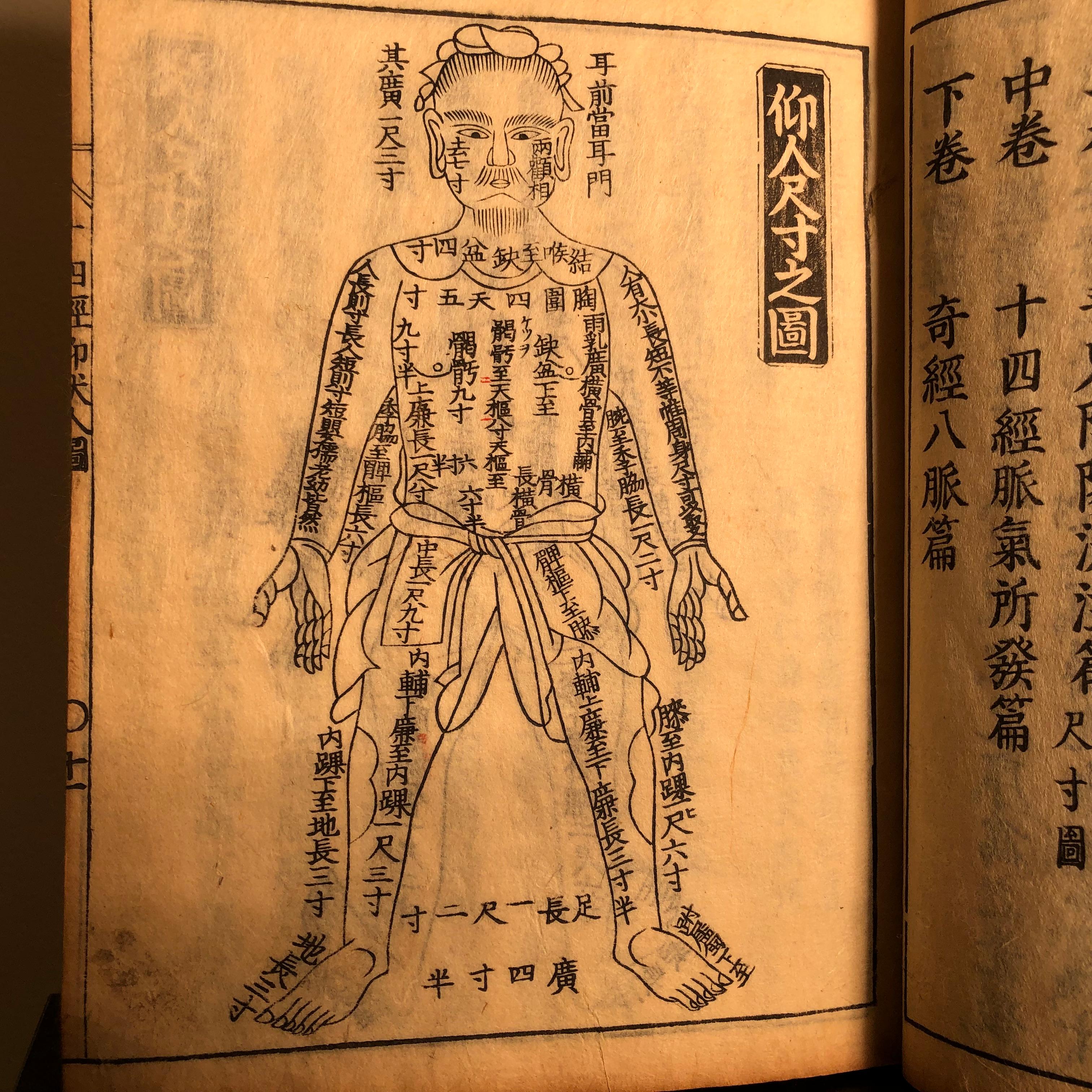 Important Acupuncture Japanese Antique Woodblock Guide Book, 19th Century Prints In Good Condition In South Burlington, VT