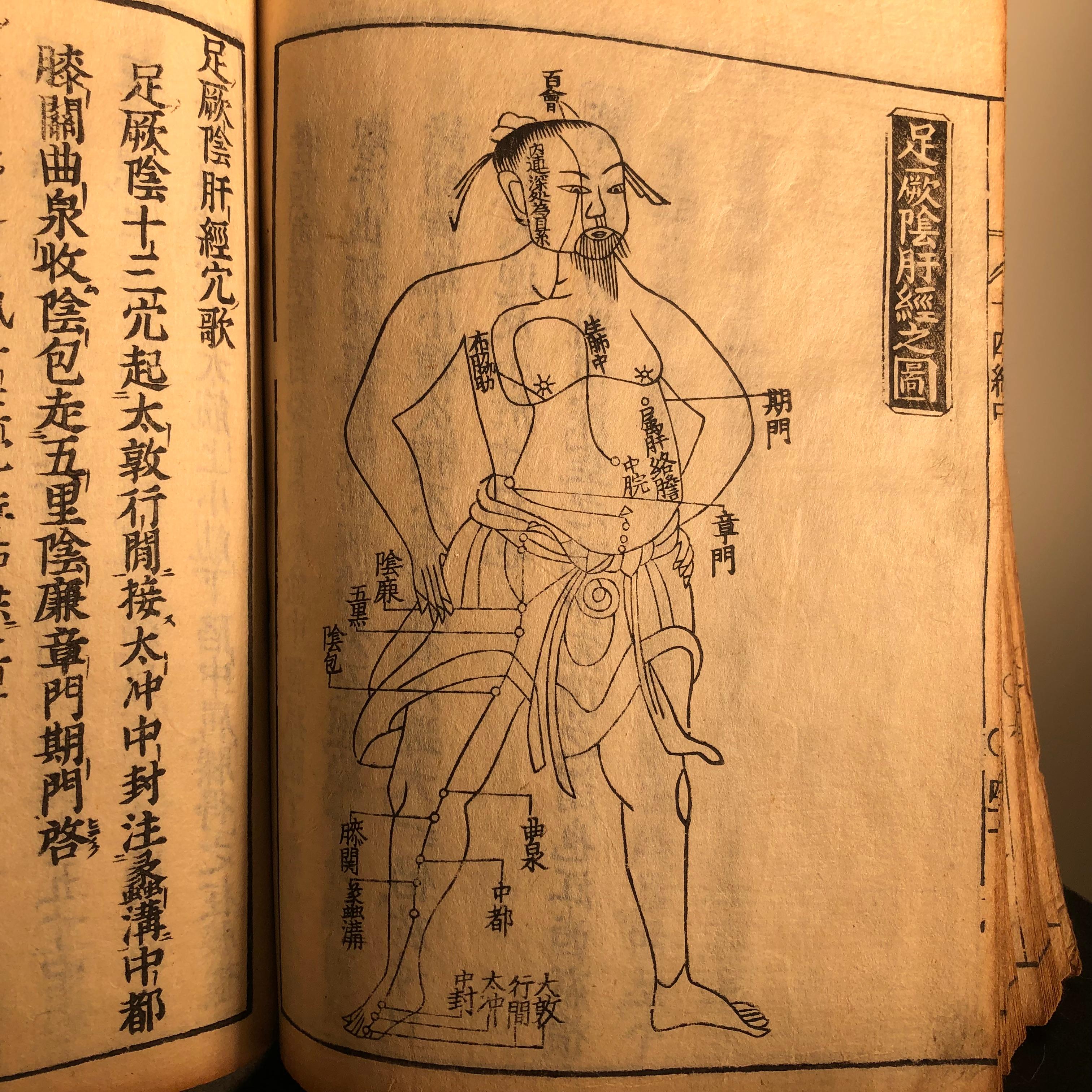 Important Acupuncture Japanese Antique Woodblock Guide Book, 19th Century Prints 3