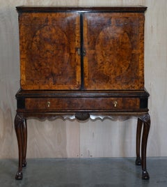 Important Antique Carles II circa 1660 Mulberry Wood Cabinet Claw & Ball Stand