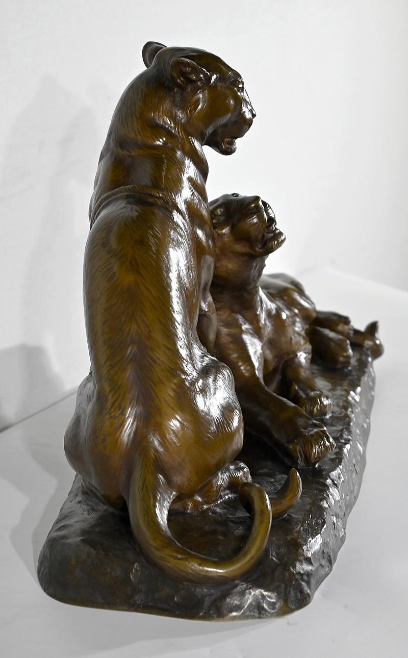Bedeutendes Bronzeskulpturenpaar mit Löwinnen, von L. Riché - Anfang 20. im Angebot 5