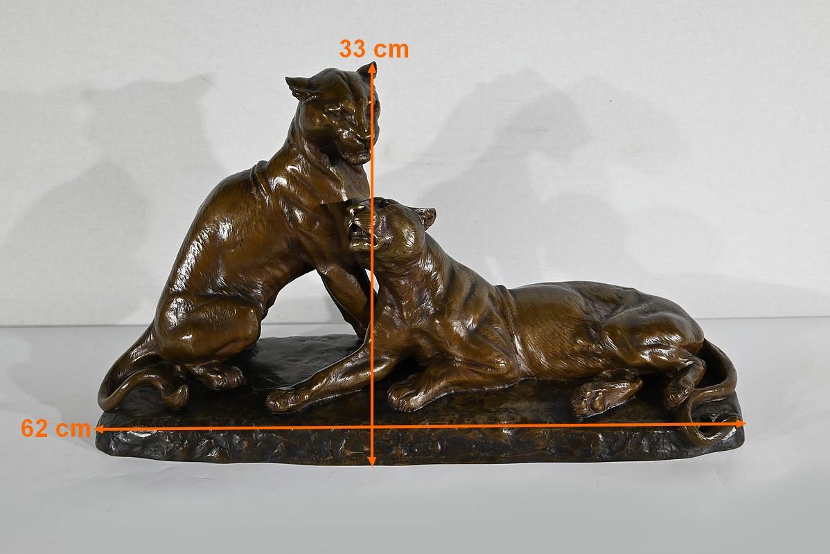Bedeutendes Bronzeskulpturenpaar mit Löwinnen, von L. Riché - Anfang 20. im Angebot 7