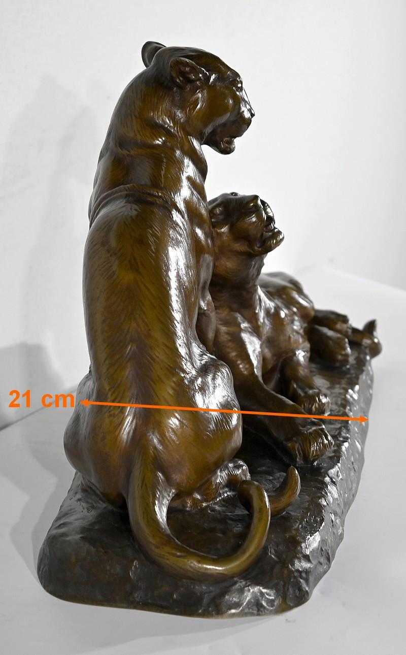 Bedeutendes Bronzeskulpturenpaar mit Löwinnen, von L. Riché - Anfang 20. im Angebot 8