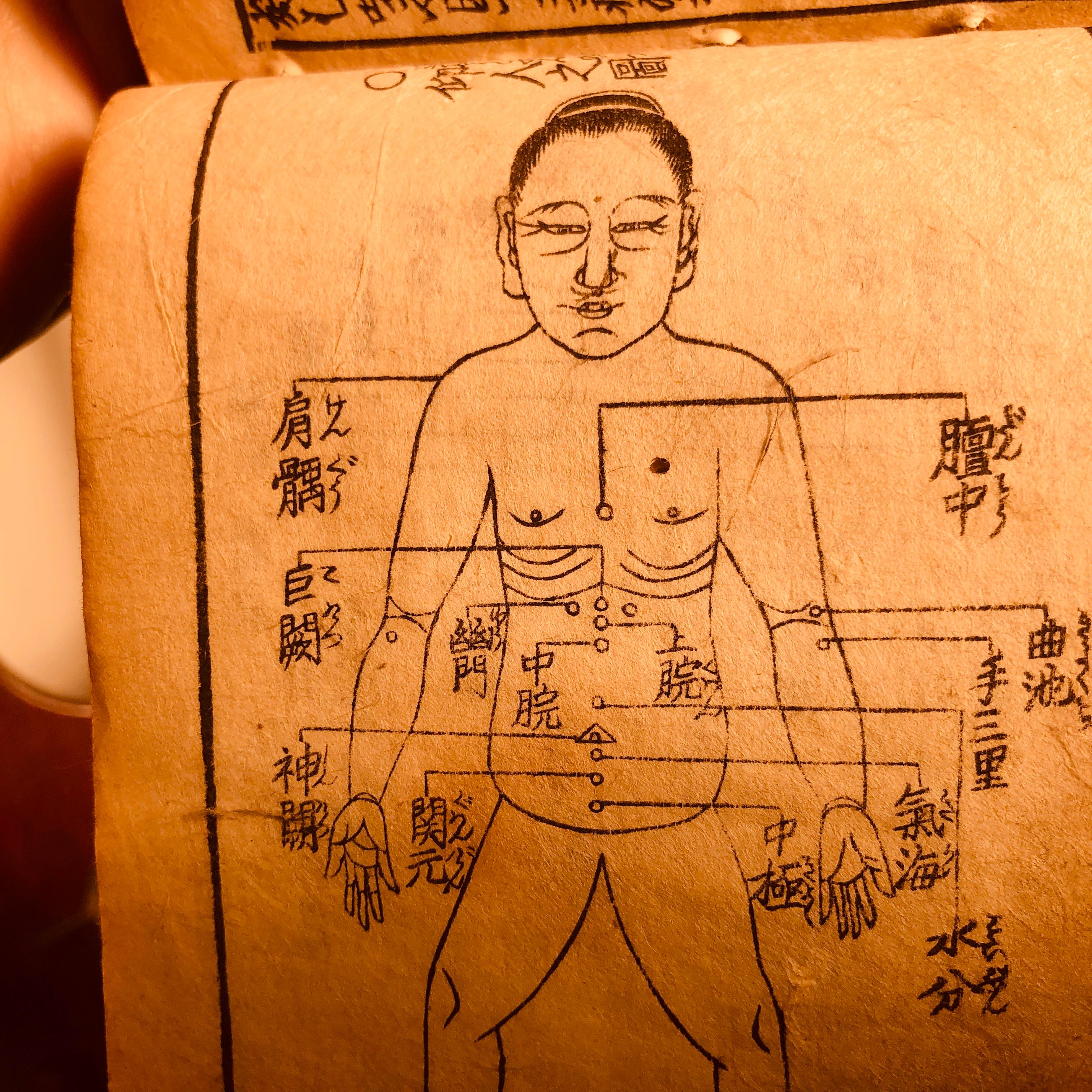Important Chinese Acupuncture Antique Woodblock Hand Book, 19th Century Prints In Good Condition In South Burlington, VT